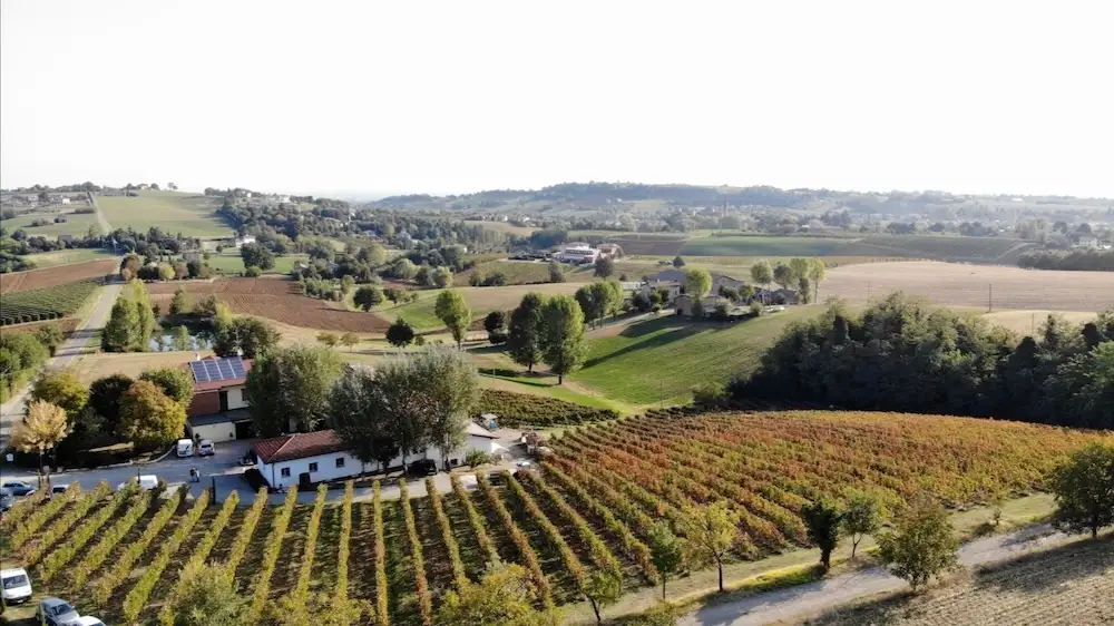 Fotogallery esperienza alla Fattoria Moretto, Castelvetro di Modena