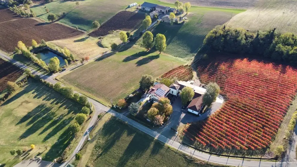Fotogallery esperienza alla Fattoria Moretto, Castelvetro di Modena