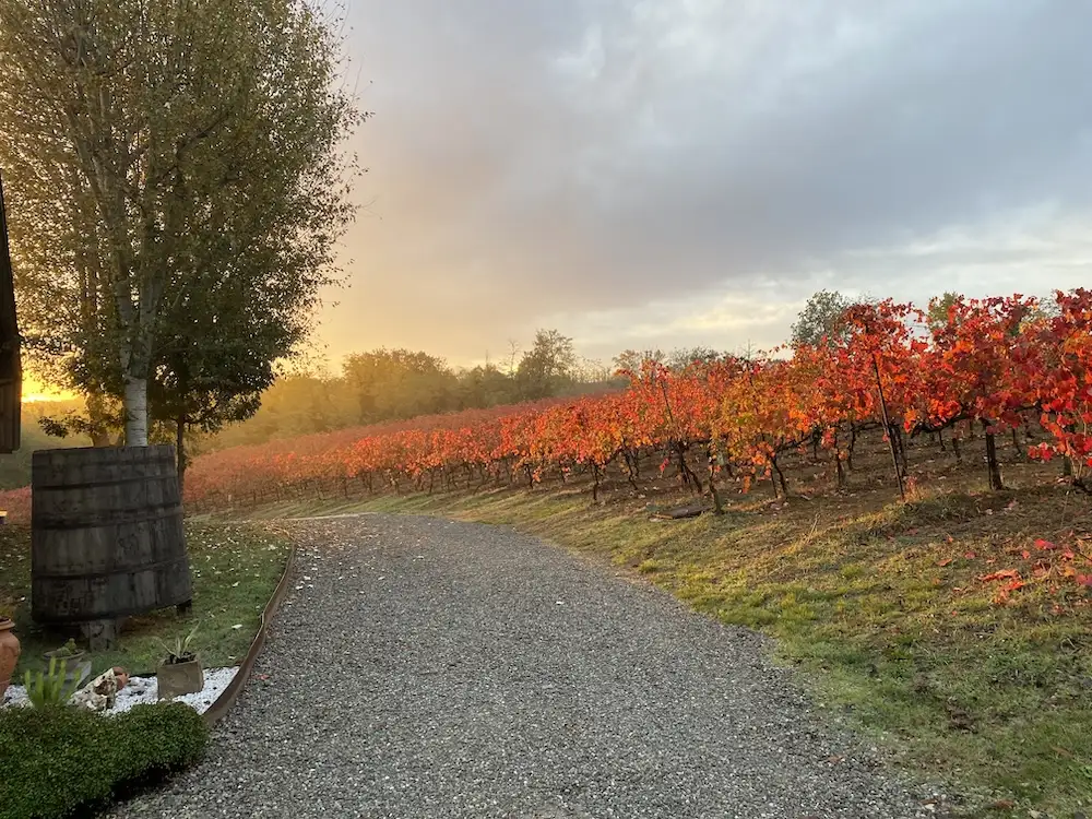 Fotogallery esperienza alla Fattoria Moretto, Castelvetro di Modena