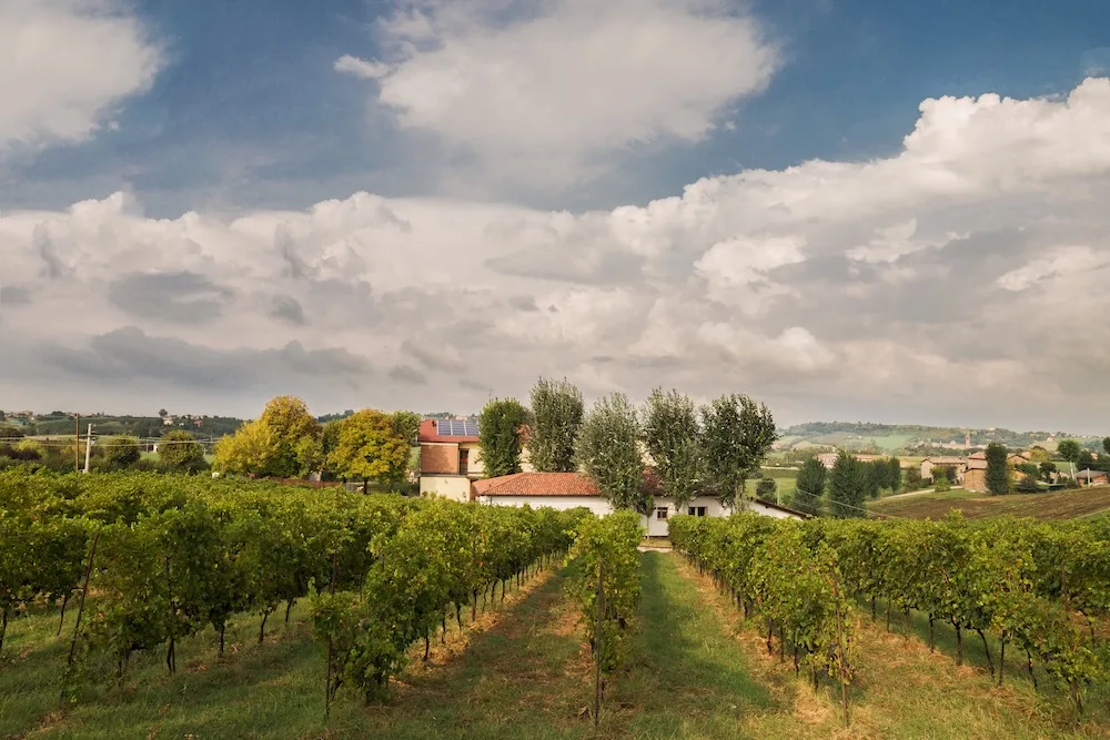 Fotogallery esperienza alla Fattoria Moretto, Castelvetro di Modena