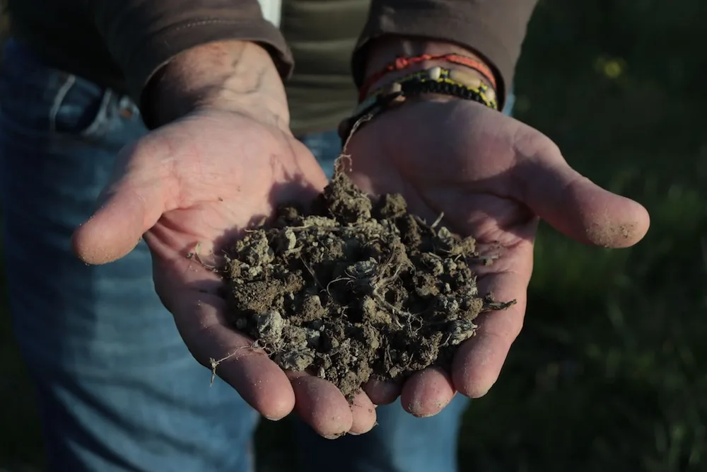 Fotogallery esperienza alla Fattoria Moretto, Castelvetro di Modena