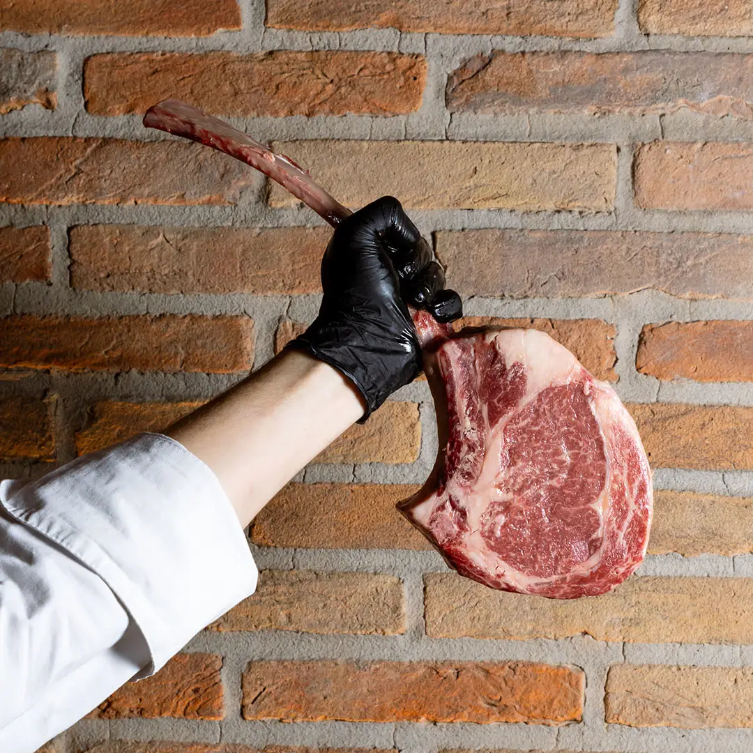 Foto gallery del ristorante il castello di castelvetro di modena