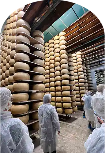 Copertina esperienza caseificio San Silvestro