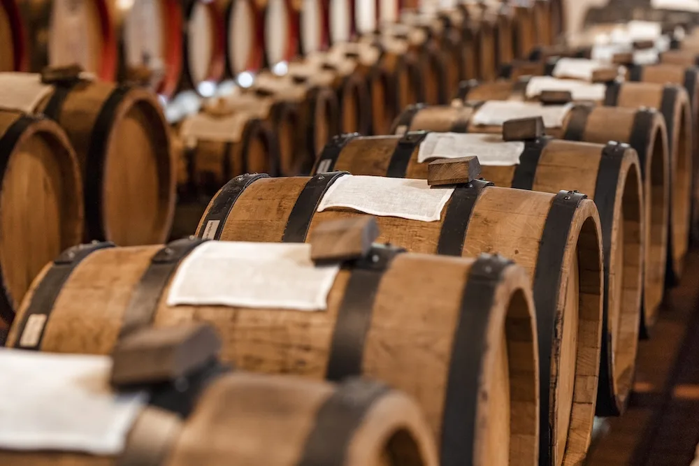 Fotogallery esperienza Antica Acetaia Luigi Cremonini