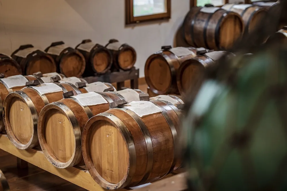 Fotogallery esperienza Antica Acetaia Luigi Cremonini