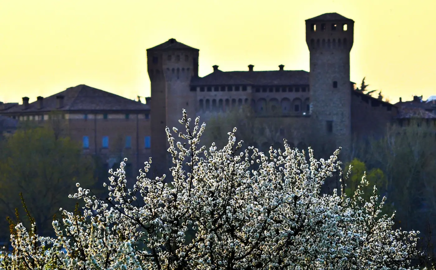 Foto del Castello di Vignola