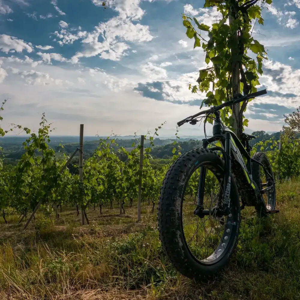 Noleggio Ebike Castelvetro di Modena