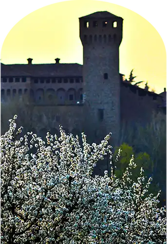 Copertina Tour a piedi per Vignola