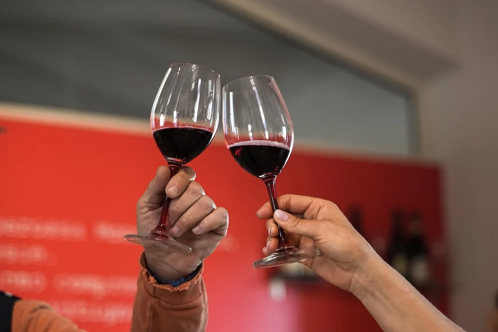 Fotogallery esperienza alla Fattoria Moretto, Castelvetro di Modena