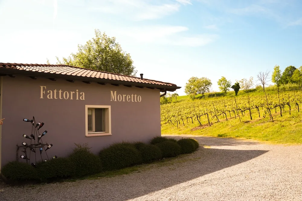 Fotogallery esperienza alla Fattoria Moretto, Castelvetro di Modena