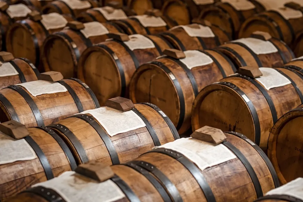 Fotogallery esperienza Antica Acetaia Luigi Cremonini