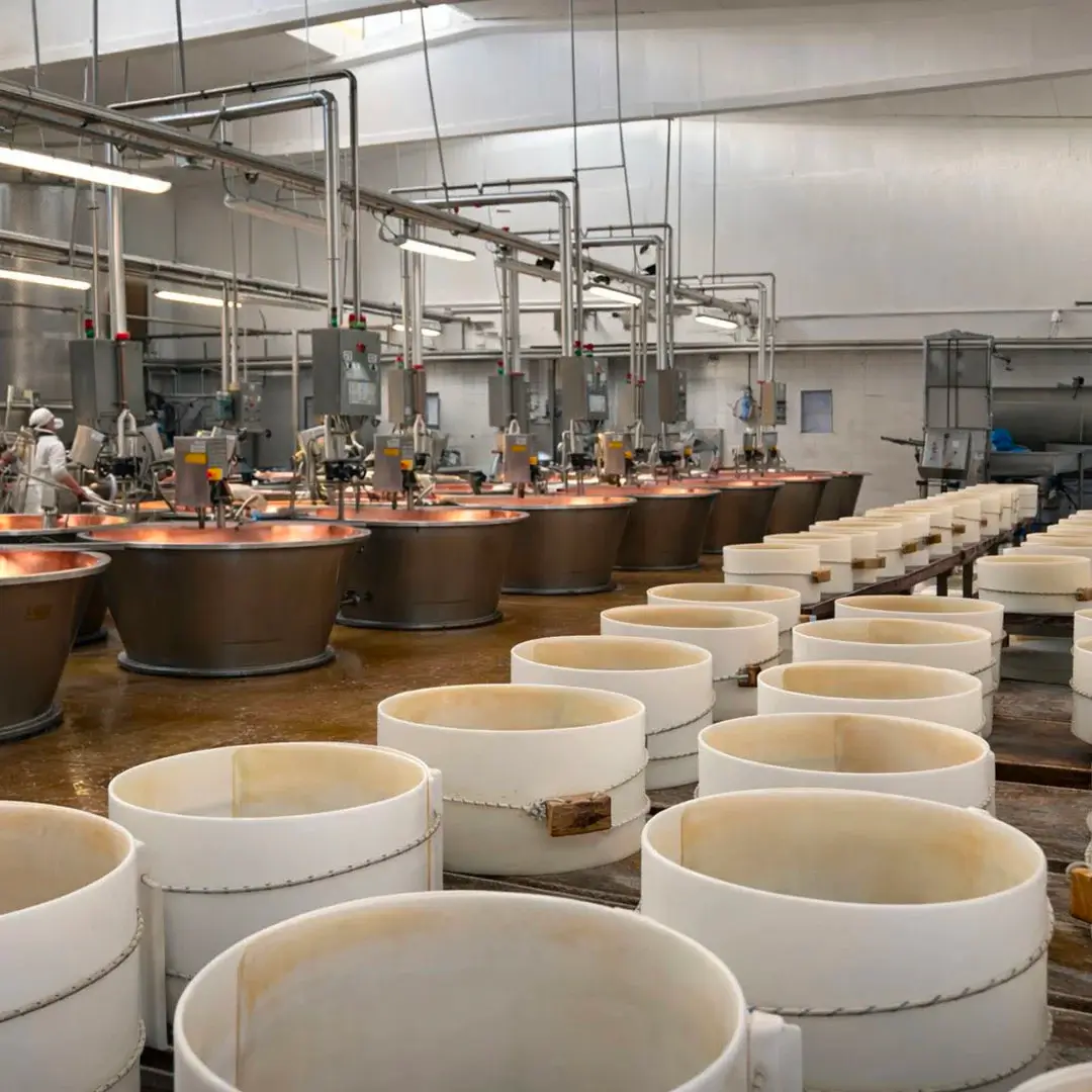 Foto Gallery Cooperativa Caseificio San Silvestro